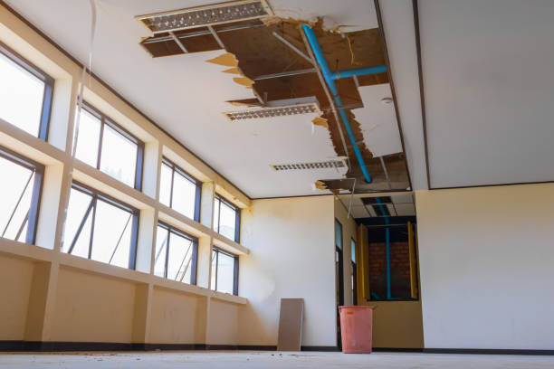 Best Water damage restoration near me  in Gibraltar, MI