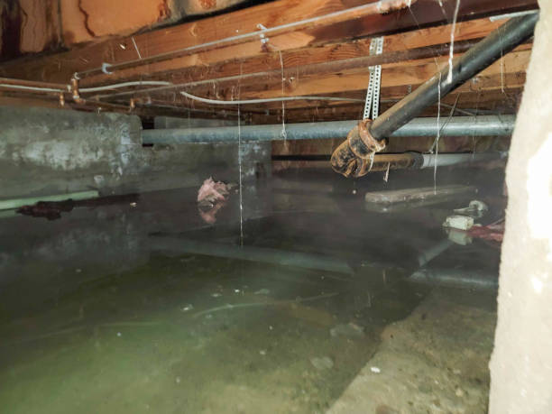 Trusted Gibraltar, MI Water damage restoration Experts