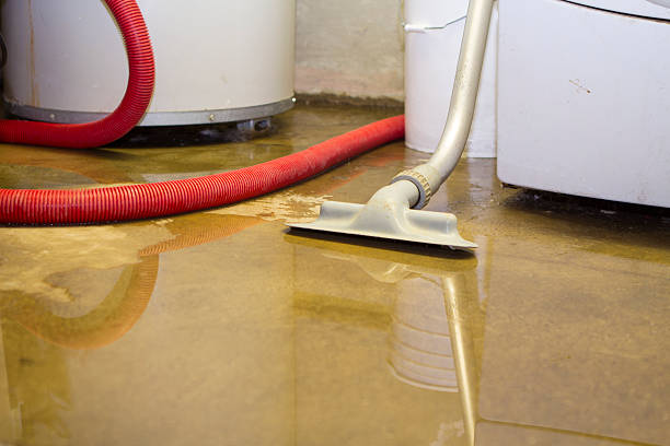 Best Ceiling water damage repair  in Gibraltar, MI