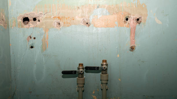 Best Ceiling water damage repair  in Gibraltar, MI