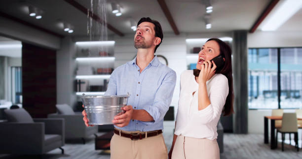Best 24-hour water damage restoration  in Gibraltar, MI