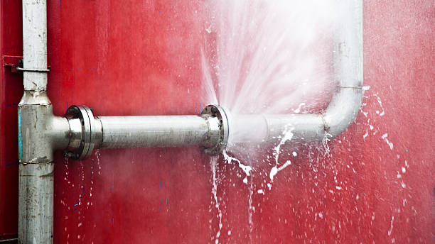 Best Residential water damage restoration  in Gibraltar, MI