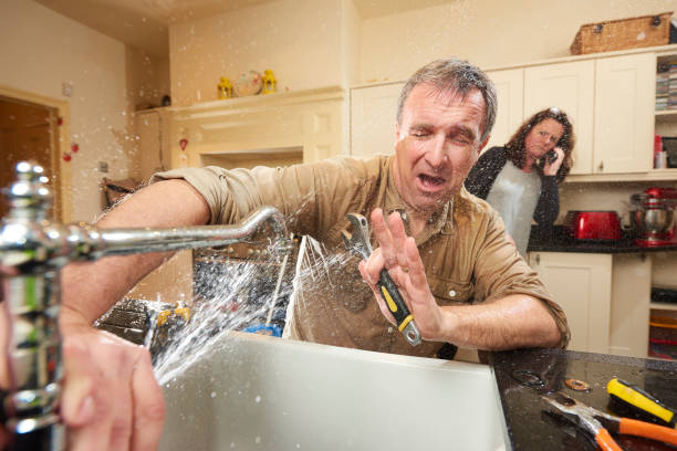 Best Water damage cleanup near me  in Gibraltar, MI